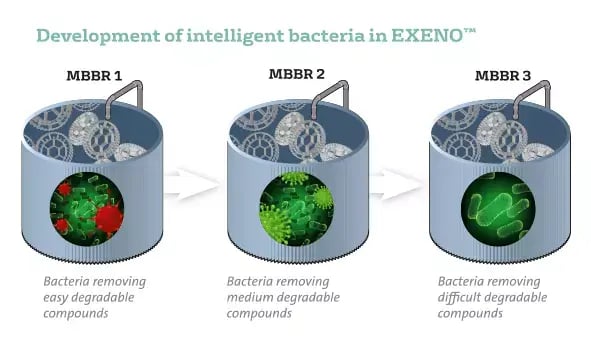 180305_VWT_SWEDEN_Schema_EXENO_Bacteria.jpg