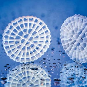 2-Oct-21-2025-01-59-35-5313-PM