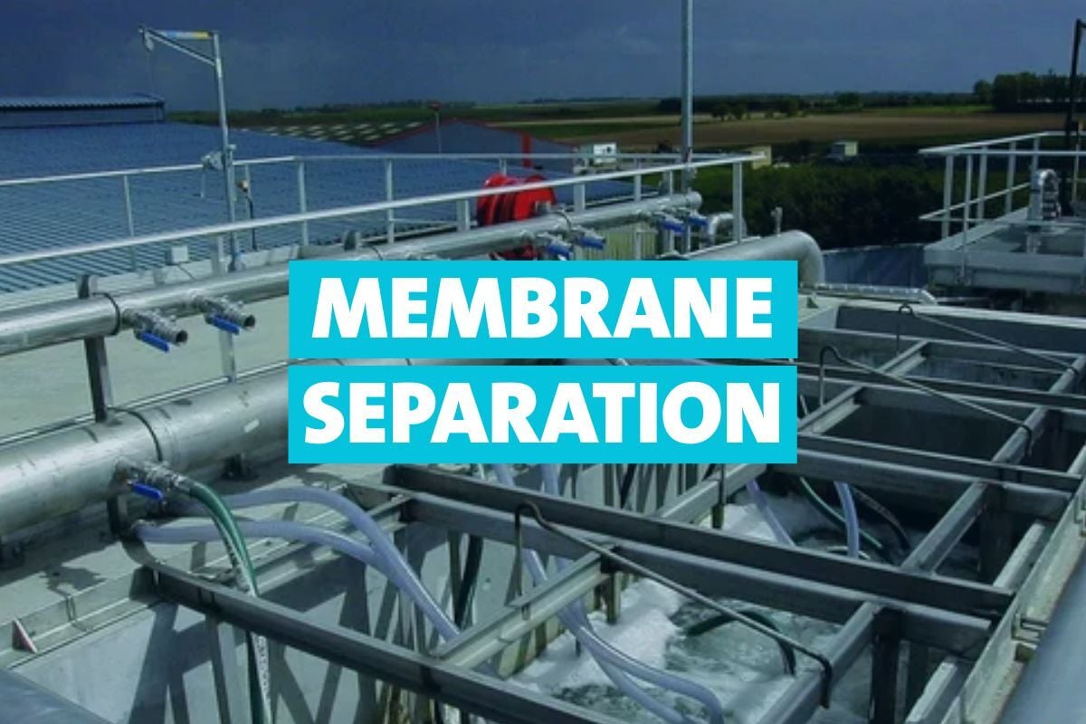 5-Oct-21-2025-03-42-22-7526-PM