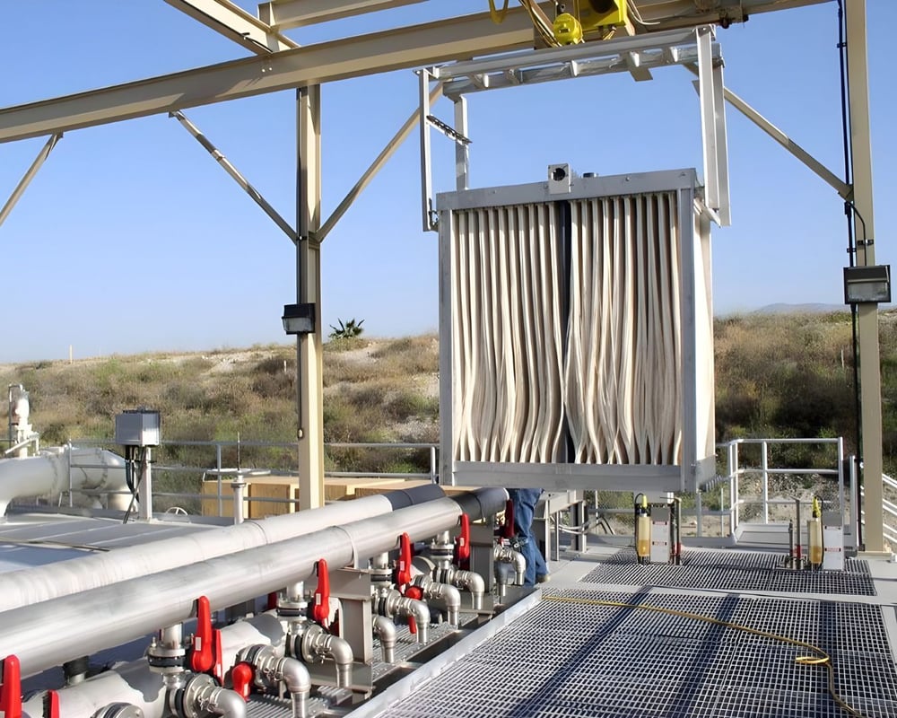 Untitled design (40)