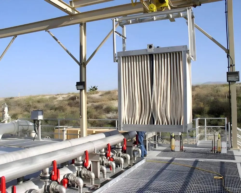 Untitled design (40)