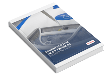 Carrousel Eclipse Hubpage (1)