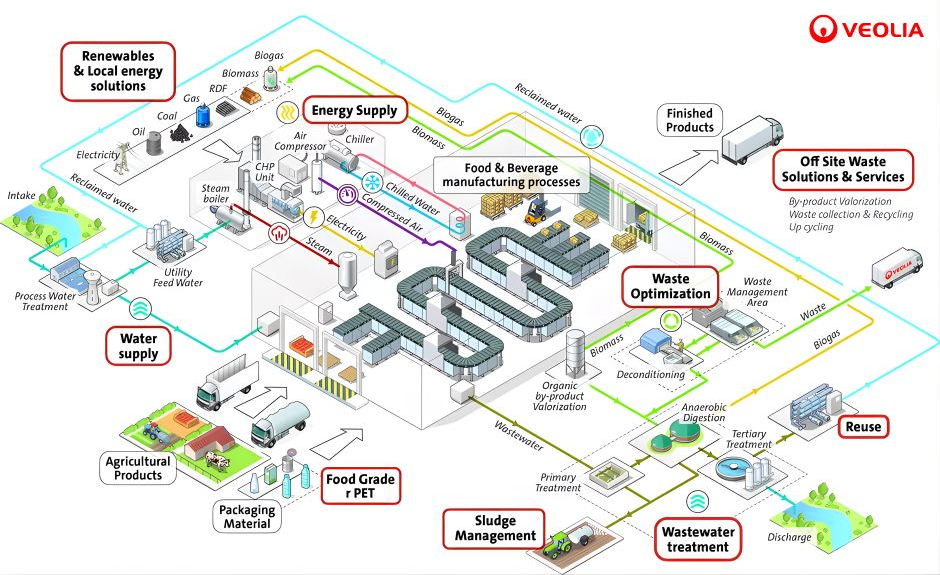 Untitled design (31)